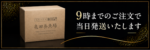 9時までのご注文で当日発送