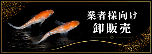 業者さま向け卸販売