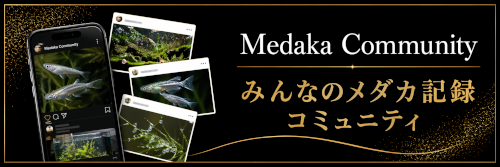 みんなのメダカ記録コミュニティ
