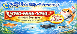 お電話でのお問い合わせ 090-6536-1494