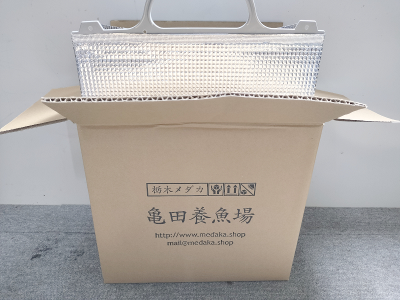 段ボール箱に保温バック