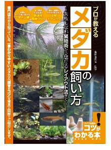 メダカ飼育本