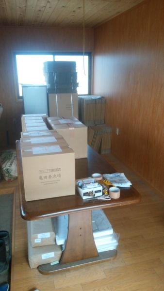 メダカをダンボール箱に梱包した状態