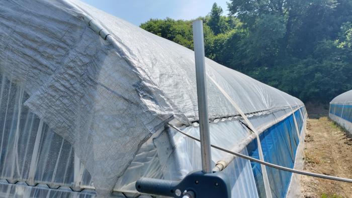 メダカ養魚場の遮光ネットはどれがいい？色と遮光率の選び方を解説