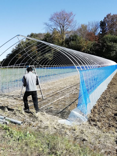 25歳で創業してから今の養魚場にたどり着くまで｜何度もやり直してきた話