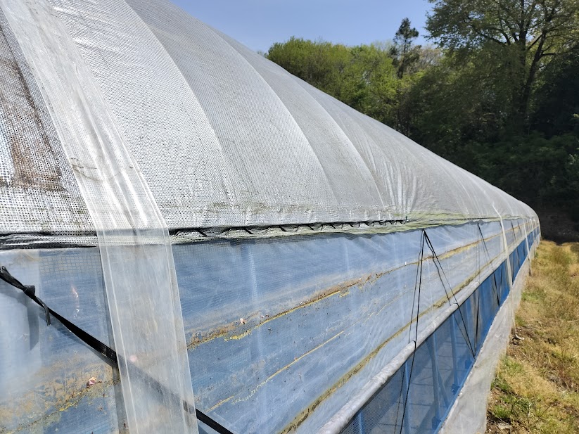 バンドで遮光ネットを固定している様子