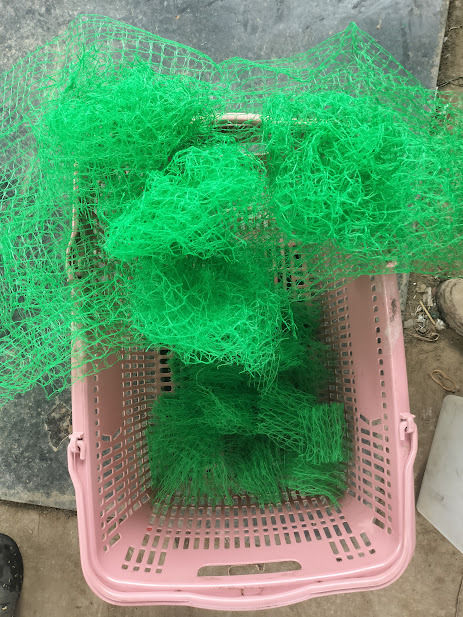 防鳥ネットを加工して作ったメダカの産卵床