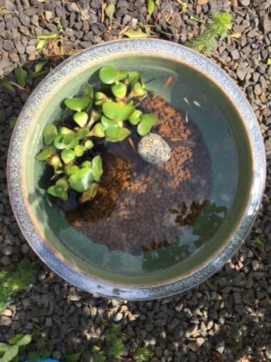 2017年5月茨城県K様の画像