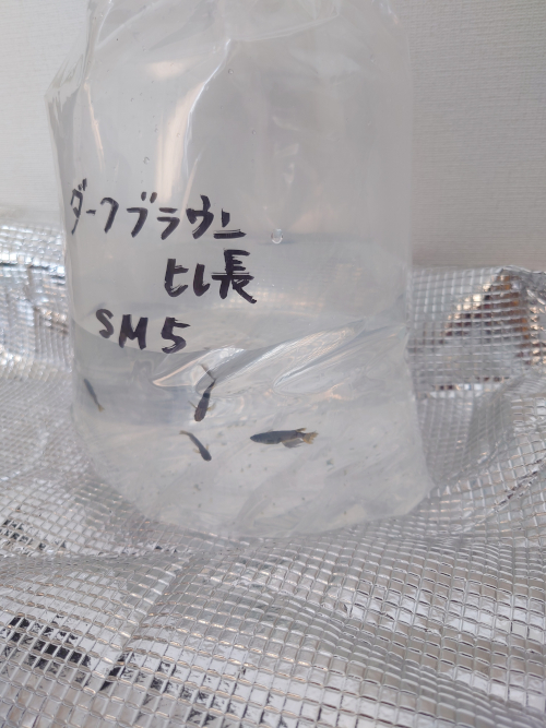 2025年8月北海道M様の画像