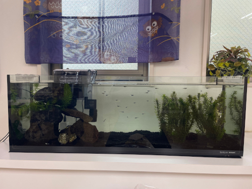 2026年3月神奈川県H様の画像