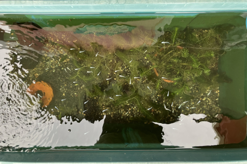 2026年4月神奈川県T様の画像