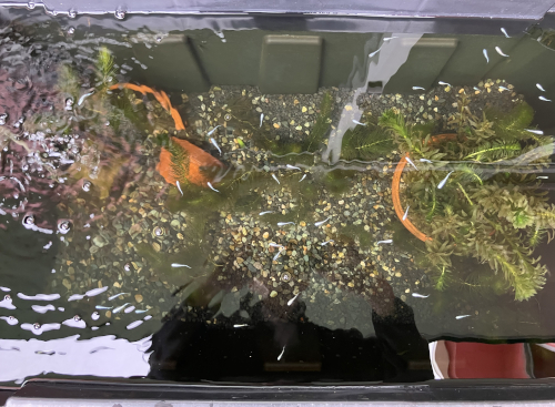 2026年4月神奈川県T様の画像