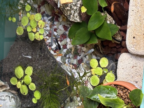 2026年4月東京都I様の画像