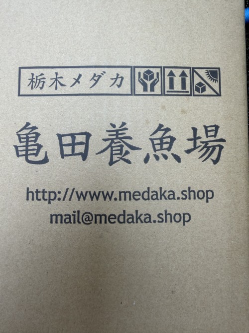 埼玉県在住K様の投稿画像