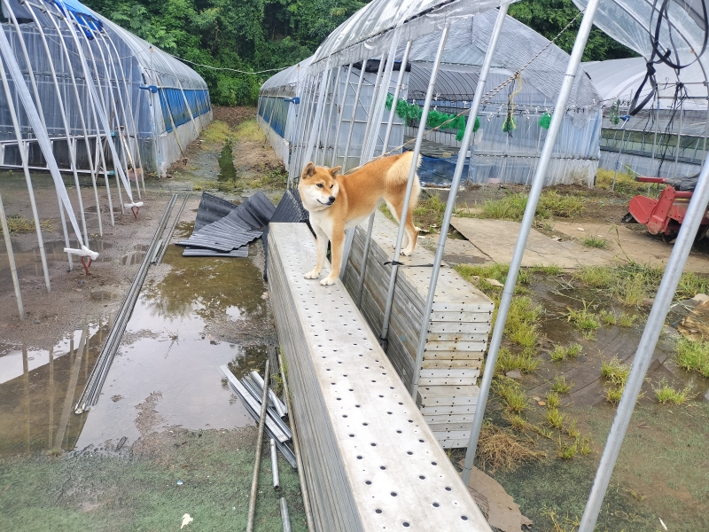 雨の日の発送確認