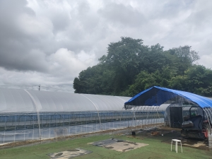 大雨のあと、排水を確認