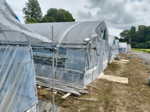 雨上がりの水換え作業