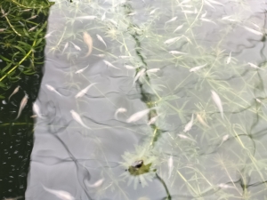 雨の日は状態確認を丁寧に