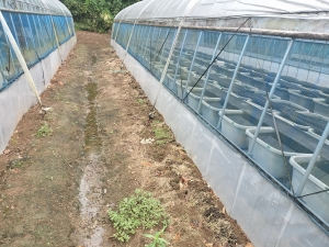 雨の一日も状態確認
