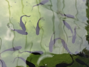 曇り空の下で状態確認