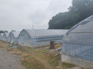 曇り空から雨の一日