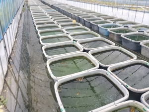 雨の日は事務所作業中心