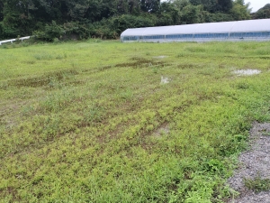 秋分を迎え今後の活用を考える