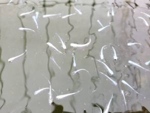 雨の日はパソコン作業中心