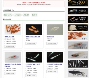 通販ページをもっと使いやすく